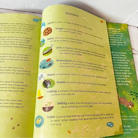 Hello Puddle! Hard Book Cover By Anita Sanchez Kids - Picture 2 of 9